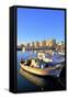 Larnaka Harbour, Larnaka, Cyprus, Eastern Mediterranean Sea, Europe-Neil Farrin-Framed Stretched Canvas