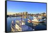 Larnaka Harbour, Larnaka, Cyprus, Eastern Mediterranean Sea, Europe-Neil Farrin-Framed Stretched Canvas