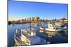 Larnaka Harbour, Larnaka, Cyprus, Eastern Mediterranean Sea, Europe-Neil Farrin-Mounted Photographic Print