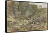 Larpool Beck, Whitby-Joseph John Jenkins-Framed Stretched Canvas