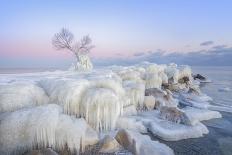 Ice Wonderland-Larry Deng-Mounted Photographic Print