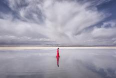 Lady in Red-Larry Deng-Photographic Print