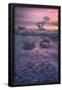 Essential Black
