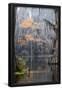 Essential Black