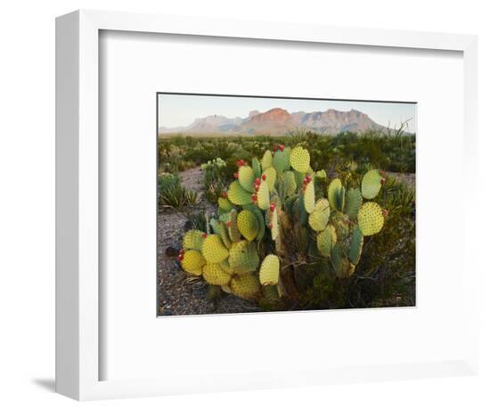 Framed Photographic Print, , large