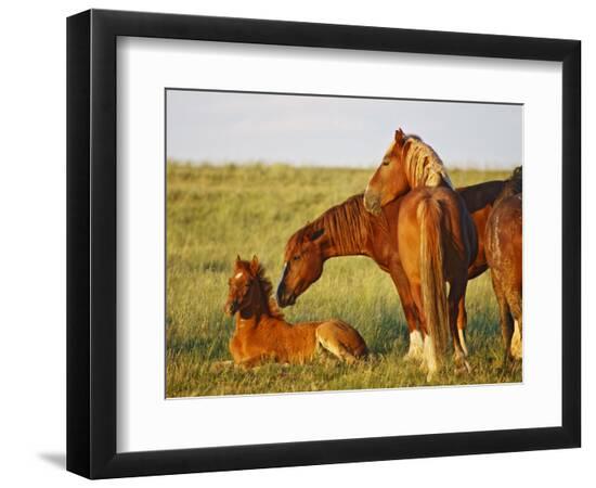 Premium Photographic Print, , large