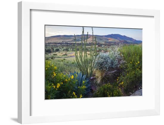 Framed Photographic Print, , large