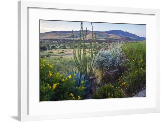 Framed Photographic Print, , large