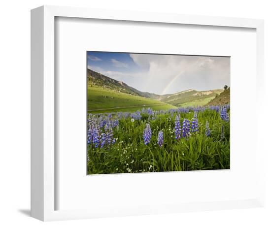 Framed Photographic Print, , large