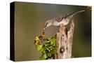Stretched Canvas
