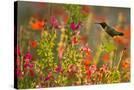 Stretched Canvas