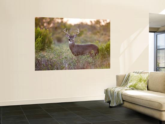 Giant Art Print, , large