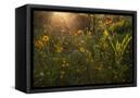 Canvas Black