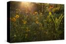 Stretched Canvas