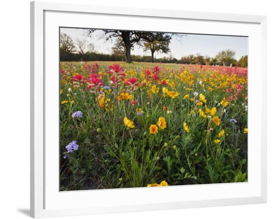 Framed Photographic Print, , large