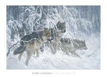 Edge of Winter (detail)-Larry Fanning-Framed Art Print