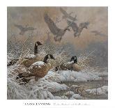 Winter Retreat-Larry Fanning-Laminated Art Print