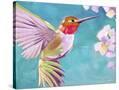 Stretched Canvas