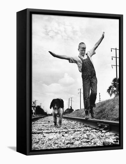 Larry Jim Holm with Dunk, His Spaniel Collie Mix, Walking Rail of Railroad Tracks in Rural Area-Myron Davis-Framed Stretched Canvas