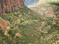 Winding Road in Zion National Park-Larry Lee-Photographic Print