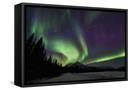 Canvas Black