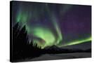 Stretched Canvas