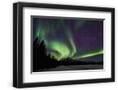 Chelsea Black
