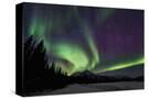 Stretched Canvas