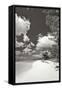 Canvas Black