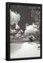 Essential Black