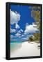 Essential Black