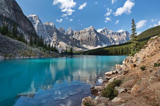Premium Photographic Print, , large