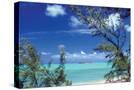 Stretched Canvas