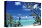 Stretched Canvas