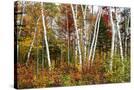 Stretched Canvas
