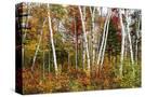 Stretched Canvas