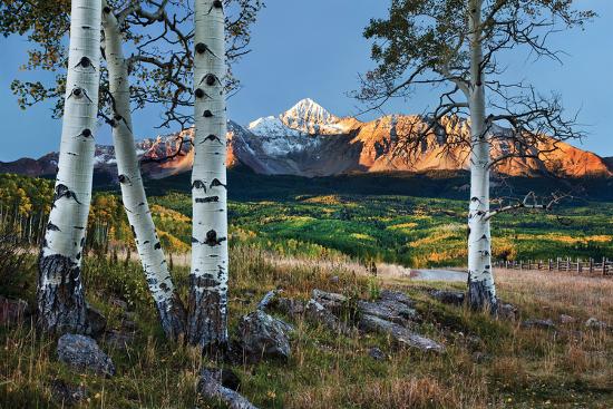 Premium Photographic Print, , large