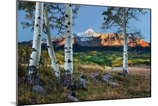 Photographic Print, , large
