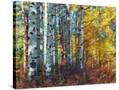 Stretched Canvas
