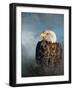 Black Frame