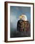 Brown Frame