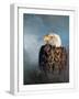 White Frame