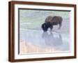 Brown Frame