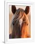 Gramercy White
