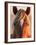 Brown Frame