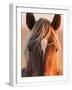 White Frame