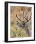 Black Frame