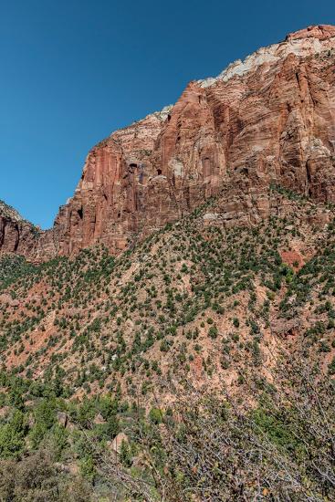 Scenic vista of Zion National Park. Photographic Print - Larry ...