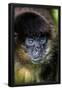 Essential Black