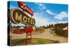 Larry's Vintage Motel-null-Stretched Canvas